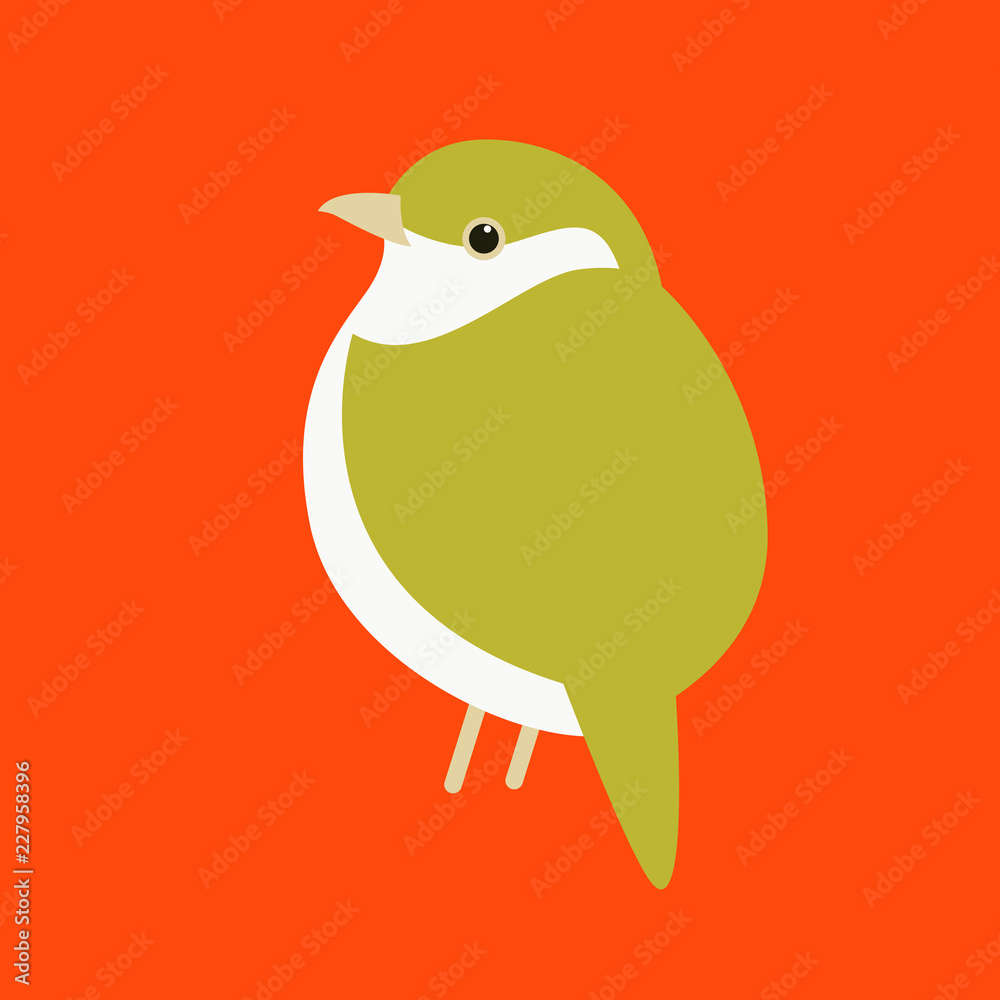 warbler bird vector illustration flat style front warbler bird vector illustration flat style front