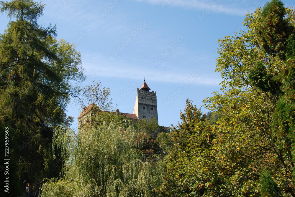 Bran, Dracula's castle in Carpathian Mountains of Transylvania, Romania, view through leaves