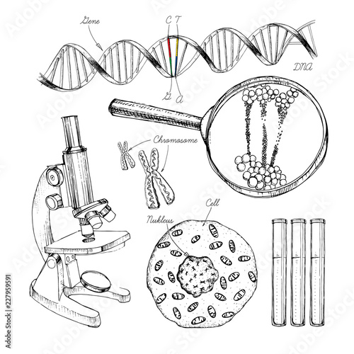 Hand drawn set structure of DNA. genome sequence. Health and biochemistry laboratory of nanotechnology. Molecule helix of dna, genome or gene evolution. Doodle elements. Gene editing tool.