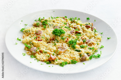 risotto on chicken broth with chanterelles, bovine boletes, suillus, and russula, onion, cheese, safran, and white wine decorated with parsley