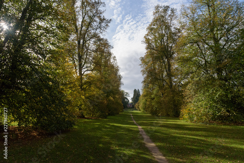 Lime Avenue path with house at Nowton Park in autumn