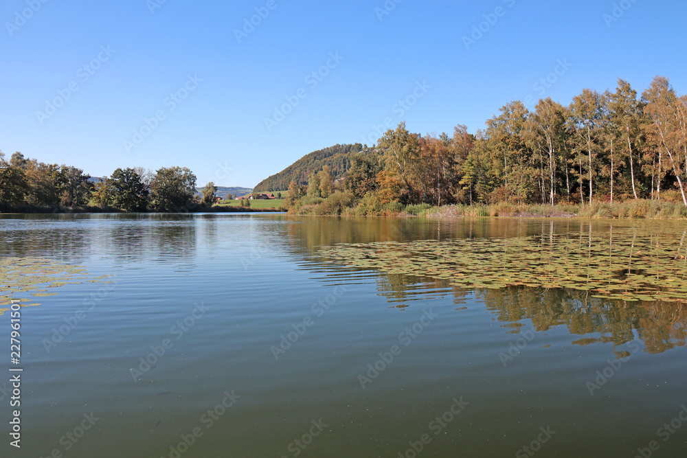 Obraz premium gerzensee, bern, schweiz 