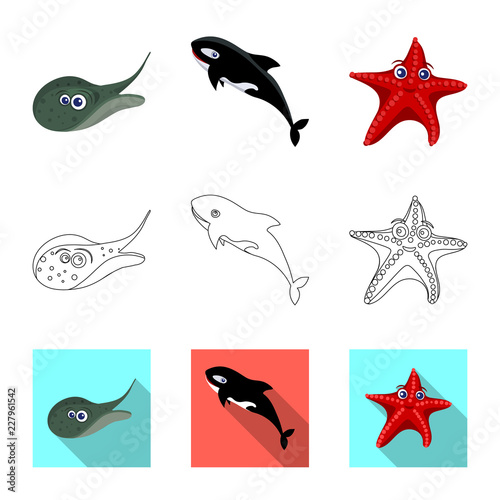 Vector illustration of sea and animal logo. Set of sea and marine vector icon for stock.