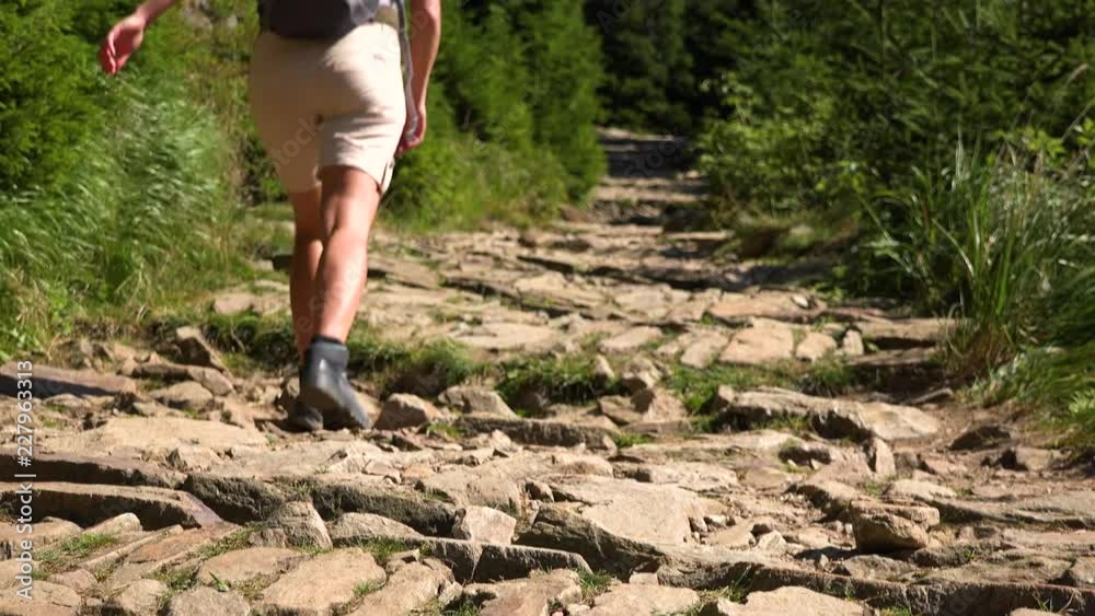 A woman walks down a trail in a forest on a sunny day - view from the ground A woman walks down a trail in a forest on a sunny day - view from the ground