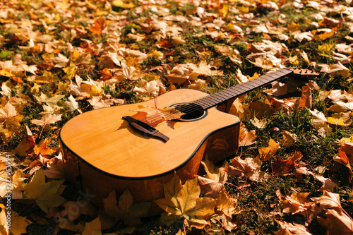Autumn background with yellow leaves in the park and with a guitar