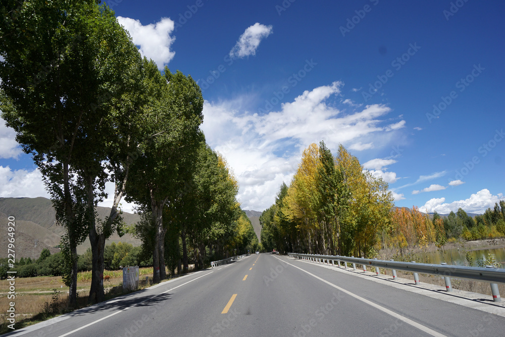 Fototapeta premium The ya river landscape in Tibet, China