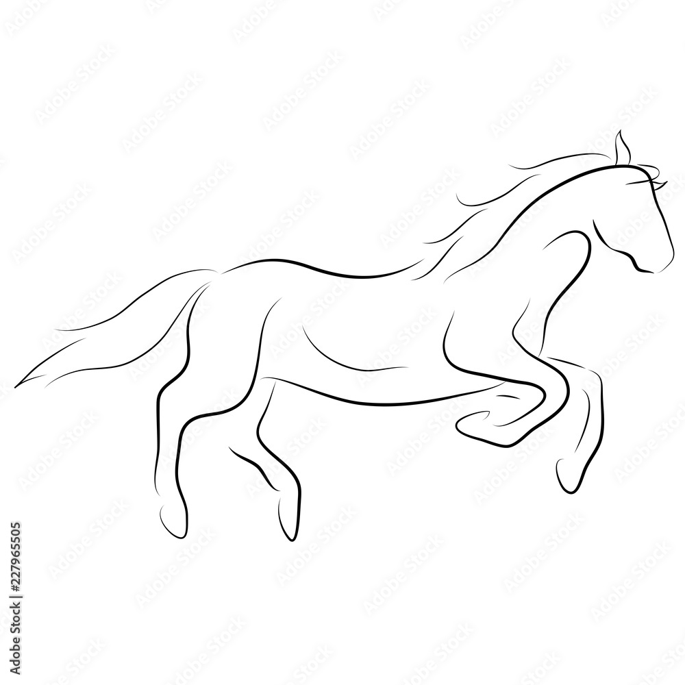 Fototapeta Black line horse on white background. Vector icon