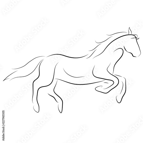Black line horse on white background. Vector icon