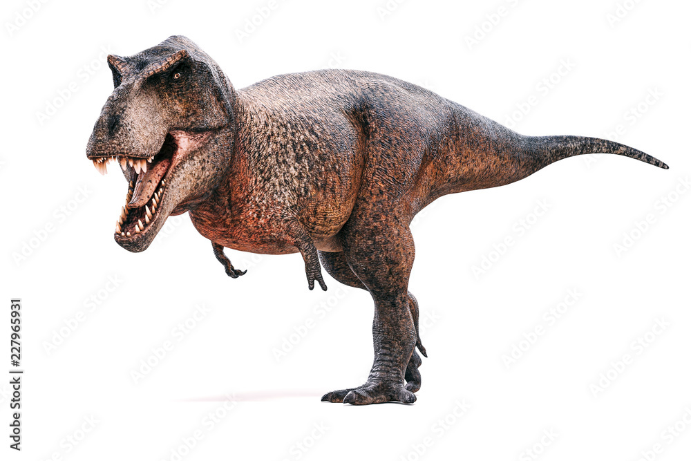 Naklejka 3d Tyrannosaurus rex render na białym tle