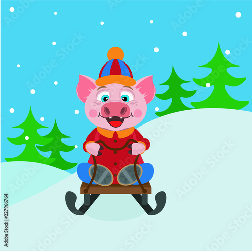 Pig riding on a sled. Year of the pig vector illustration. Symbol of 2019.
