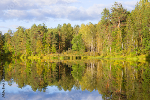 Sunny September evening on a forest lake. Kostroma region, Russia