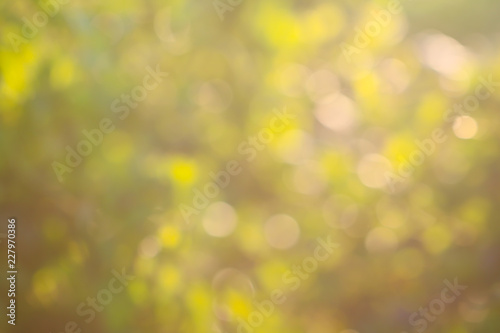 Blur of Tree Leaves for art background and colorful Abstract for festival holiday ,soft  made with gradient and filter colored.