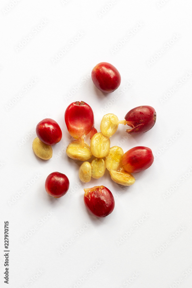 fresh skin of coffee cherries for made cascara tea eco-friendly unique drink fresh skin of coffee cherries for made cascara tea eco-friendly unique drink