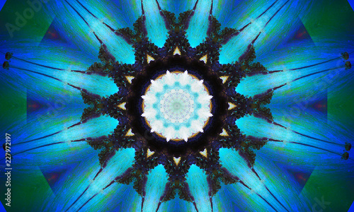 Bright blue pulsar star-shaped mandala Art with a beautiful repetitive pattern.