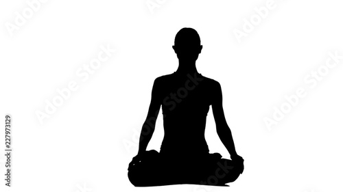 position lotus exercice de yoga