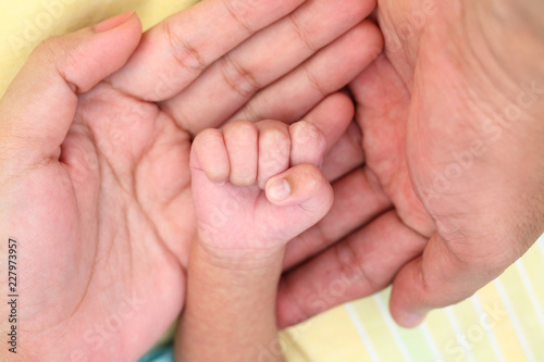 Newborn baby hand in mothers hand