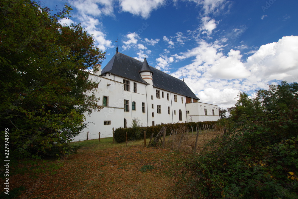 Obraz premium Le château de la Bastie d'Urfé