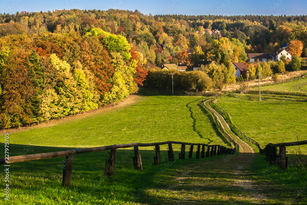 Bright sunny colorful evening autumn rural countryside, yellow, orange and green trees, houses on a hill, clear blue sky, shadows, footh path with wooden railing in the middle of pasture