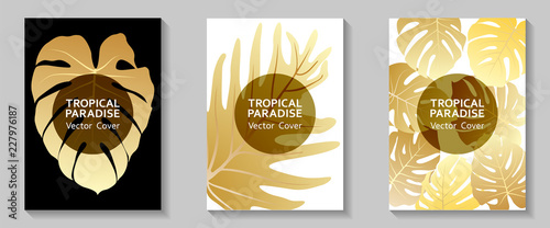 Tropical paradise leaf vector cover layout.
