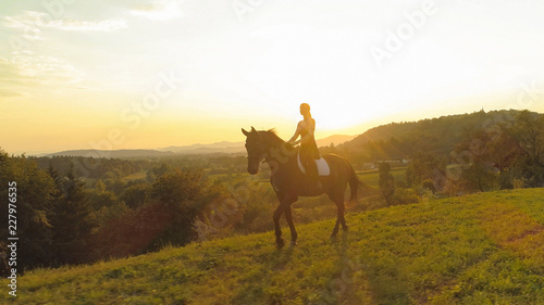 AERIAL  Flying along brown horse and girl trotting through the sunny countryside