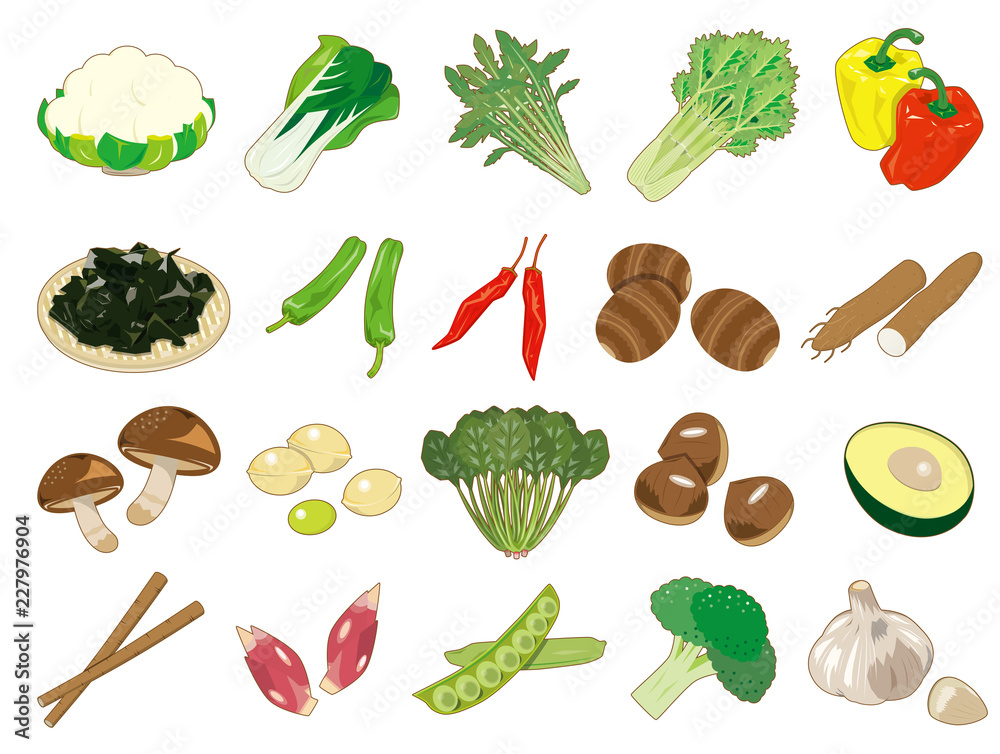 食材アイコン イラスト 野菜 ほうれんそう カリフラワー パプリカ Stock Vector Adobe Stock