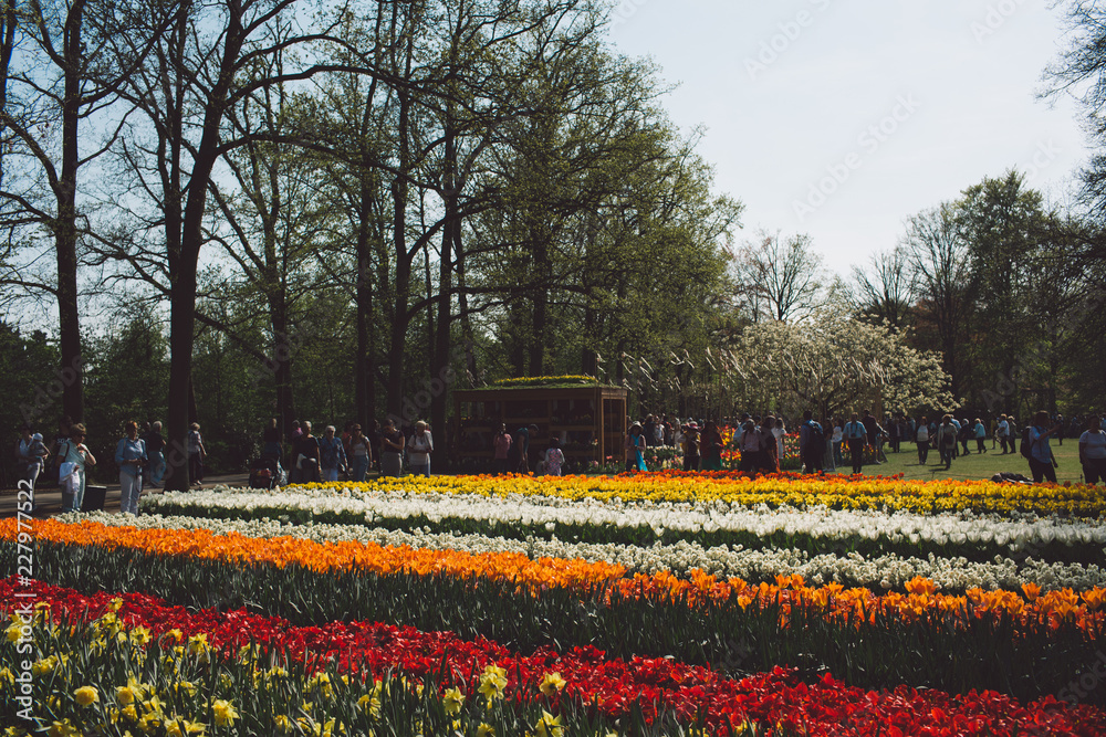 Spring Spring