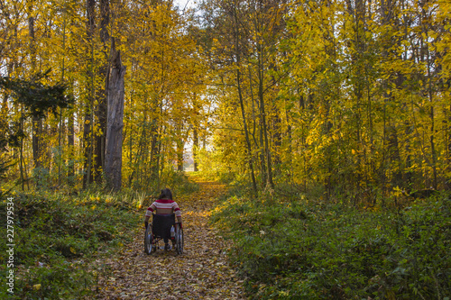 Frau fährt im Rollstuhl im herbstlichen Wald 01 © Ruediger Schulz