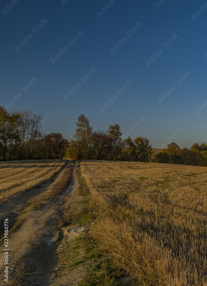 Autumn in Krkonose national park near Roprachtice village