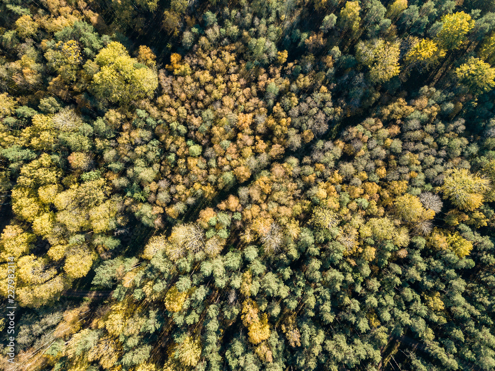 drone image. aerial view of rural area with fields and forests in autumn drone image. aerial view of rural area with fields and forests in autumn