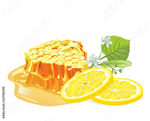 Lemon, linden and honeycomb  design concept. Vector illustration on isolated white background
