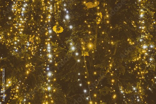Christmas illumination on the Christmas tree. Close-up. Mystery