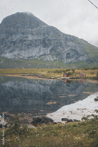 Lofoten nature