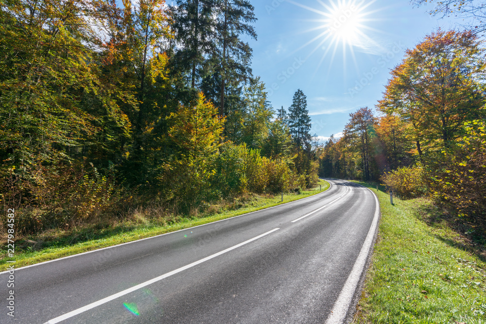 Fototapeta premium Landstraße im herbstlichen Wald
