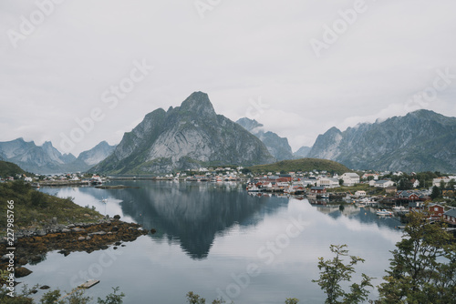 Reine 1