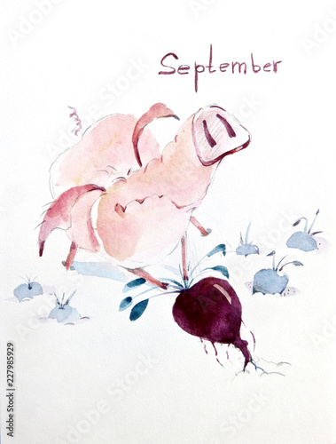 Autumn is harvest time (even if you are a pig)