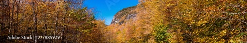 Panoramic view of an autumn scene in Vermont mountains near Stowe