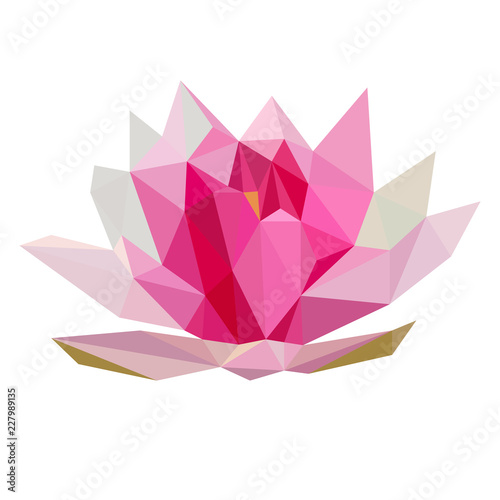 Fototapeta Naklejka Na Ścianę i Meble -  Colorful polygonal style design of pink lotus flower