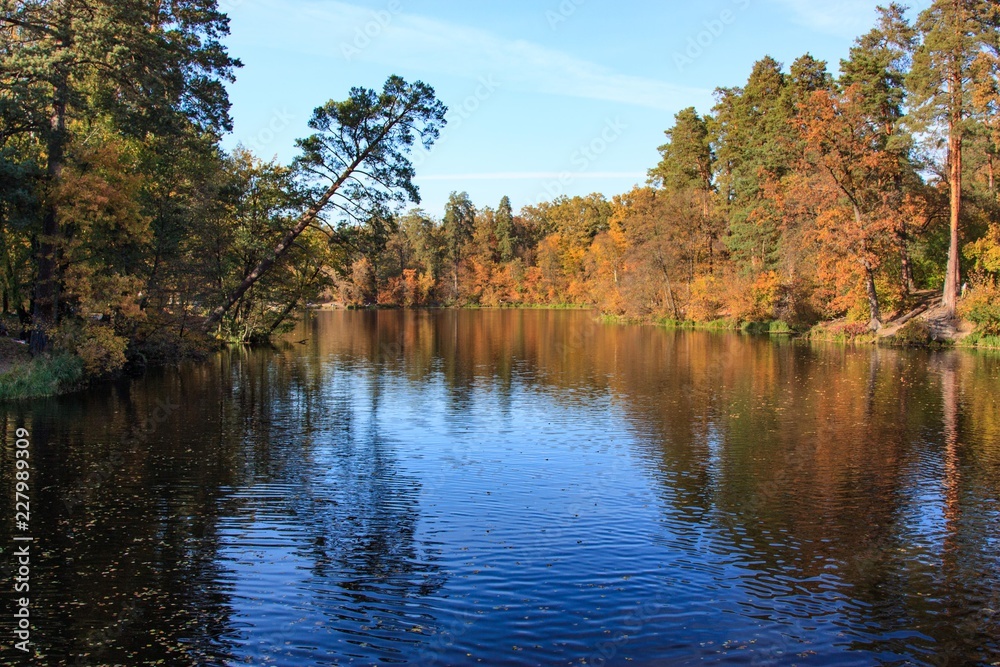 Fototapeta premium Ukraine. Kyiv. Pushcha Voditsa. Autumn landscape with trees reflecting in the water of the lake.