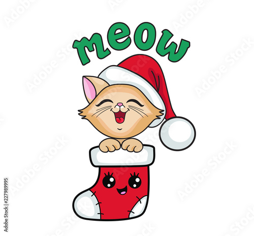 Cute kitten in a Christmas stocking. My first Christmas.