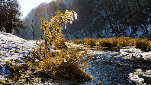 Gera Hofweisenpark Winterlandschaft