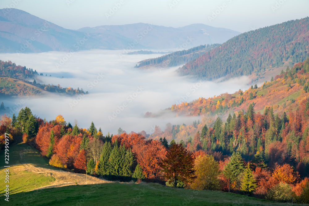 Colorful autumn morning in the Carpathian mountains