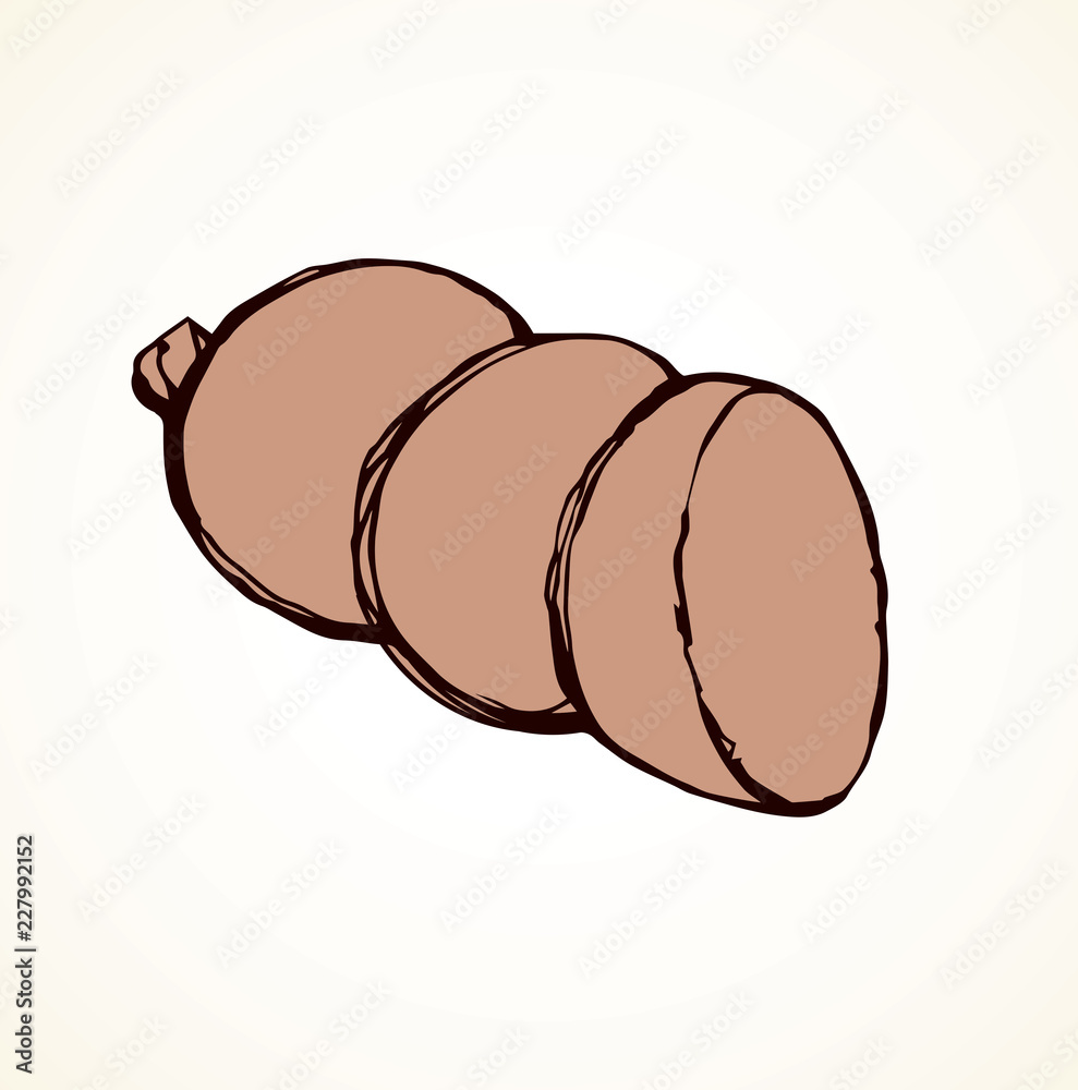 Sausage. Vector drawing Sausage. Vector drawing