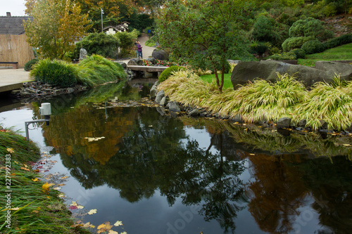 Autumn. Yellow leaves. Japanese Maple. Japanese garden. Kaiserslautern