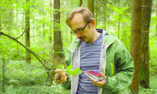 Fotografia A scientist environmentalist exploring plants in a forest