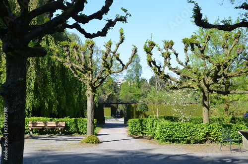 Grugapark, der schönste Park in Essen  photo