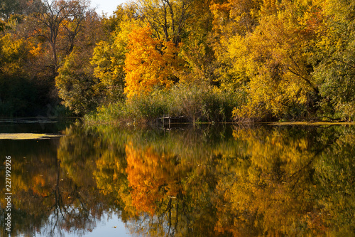 Autumn trees water reflections landscape