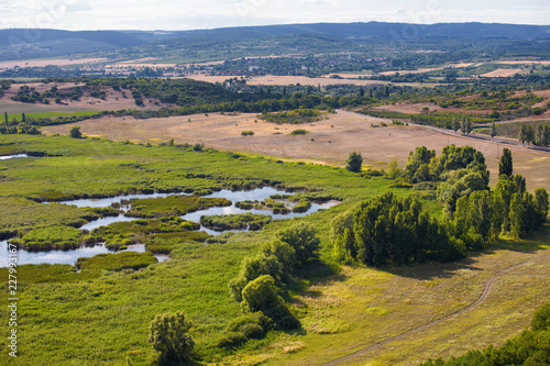 swampy landscape at Tihany village near to lake Balaton, Hungary