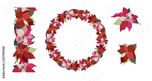 Poinsettia Christmas star, wreath, seamless brush and individual elements 