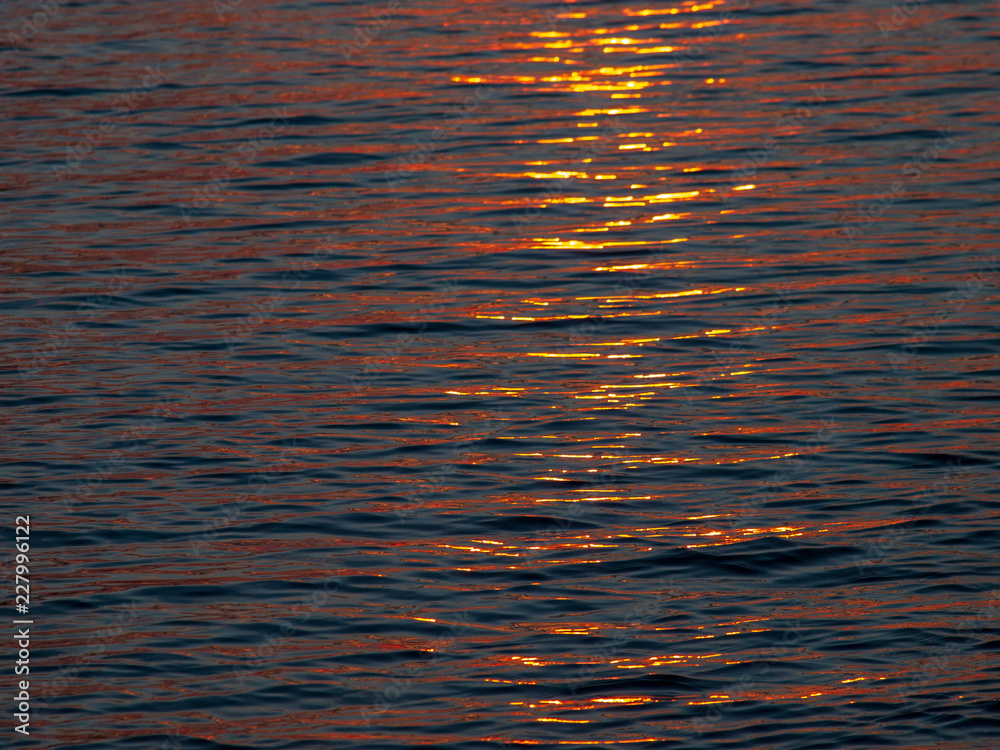 Holland Weerribben Wieden