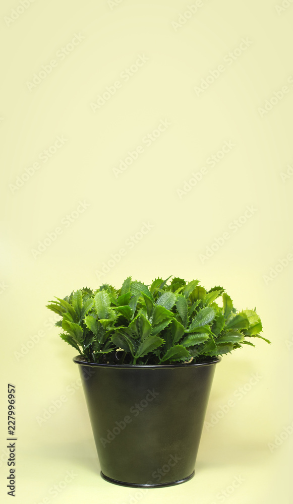 Artificial plant in plain plastic pot against a light yellow background. With available copy space.